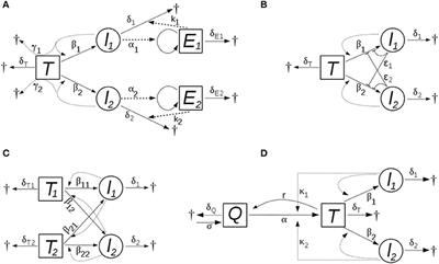 Variable Effect of HIV Superinfection on Clinical Status: Insights From Mathematical Modeling